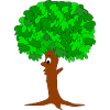 Drôle d’arbre