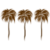 Three Palm Trees