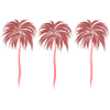 Palm trees