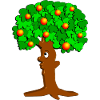 apple tree