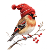 Winter Cardinal with Red Bobble Hat
