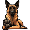Malinois Belgian Shepherd Malinois Owner