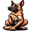 Malinois Belgian Shepherd Malinois Owner