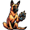 Malinois Belgian Shepherd Malinois Owner