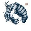 Seiche