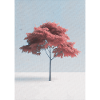 Minimal Japanese Maple Tree Art