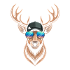 Deer with antlers