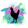 Poulets Poulets