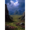 Illustration of a natural landscape