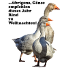 Christmas Goose Rekommendation Nötkött