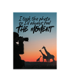 Sunset Safari