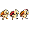 Bébé dinde de Thanksgiving