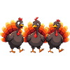 Bébé dinde de Thanksgiving