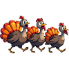 Bébé dinde de Thanksgiving