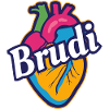 Brudi