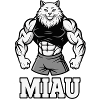Muscular Cat MEOW Powerful Humor