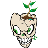 Growing Skull Sprout