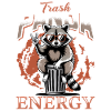 Funny Raccoon