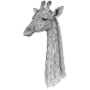 Geometric Giraffe Line
