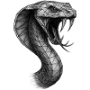 Geometric Snake Facets