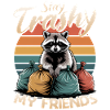 Funny Raccoon