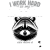 Funny Raccoon
