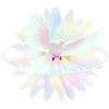 Pastel dove in rainbow light