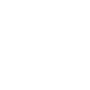 Camel T-shirt Gift