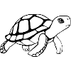 Turtle Black and White T-shirt Gift