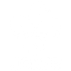 White Joker Skull