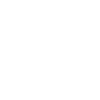 Border Collie Life