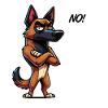 No Malinois Belgian Shepherd Malinois Owner