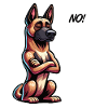 No Malinois Belgian Shepherd Malinois Owner