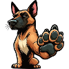 Malinois Belgian Shepherd Malinois Owner