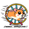 Hamster running in his wheel
