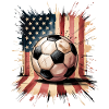 Usa Fußball