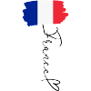 Flag France Regional Pride National Identity