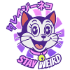 Crazy Cartoon Cat