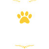 I love Border Collie