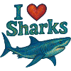J’adore les requins