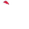 Reindeer with Santa hat