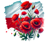 Polish Poppies National Flag Art