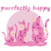 Purrfectly happy - für Katzenfreunde