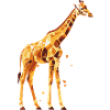 Giraffe_2