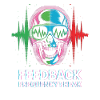 Feedback Frequency Freak Punk Rock Music