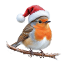 Robin Santa Hat on Branch