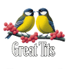 Great Tits Duo on Red Berries