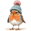 Robin in Strick-Wintermütze