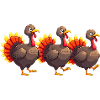 Bébé dinde de Thanksgiving
