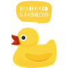 Feathered & Fabulous Duck Design
